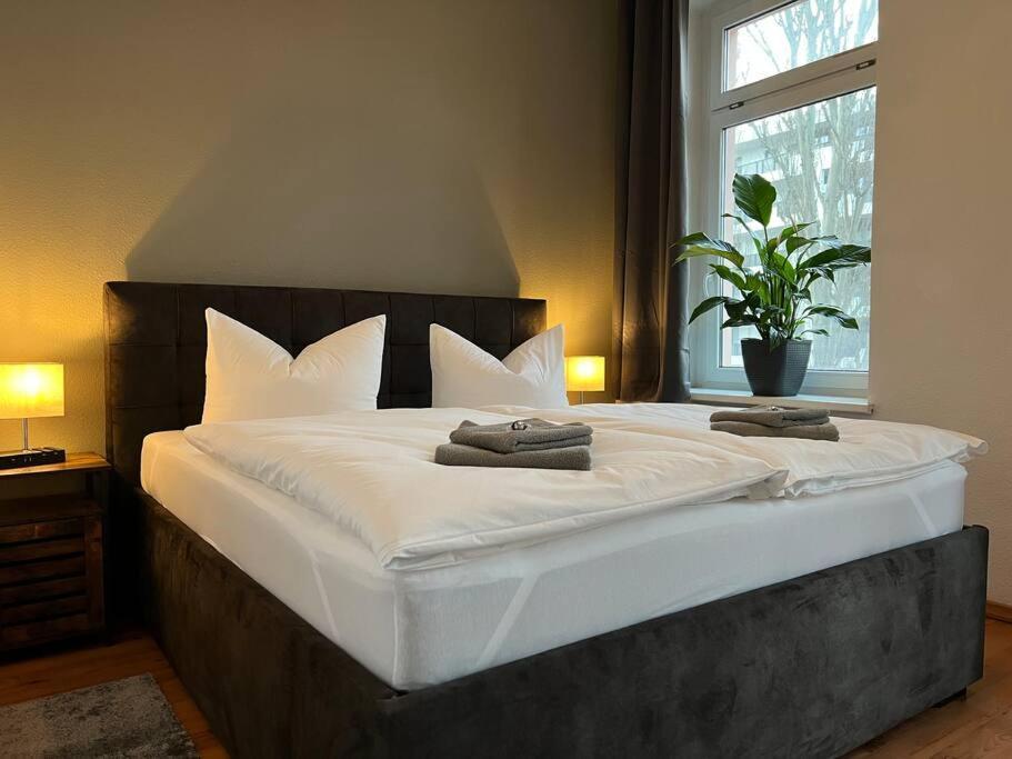 Akk6 Designpartment Naehe Hbf Uni Oper Apartment Magdeburg Ngoại thất bức ảnh