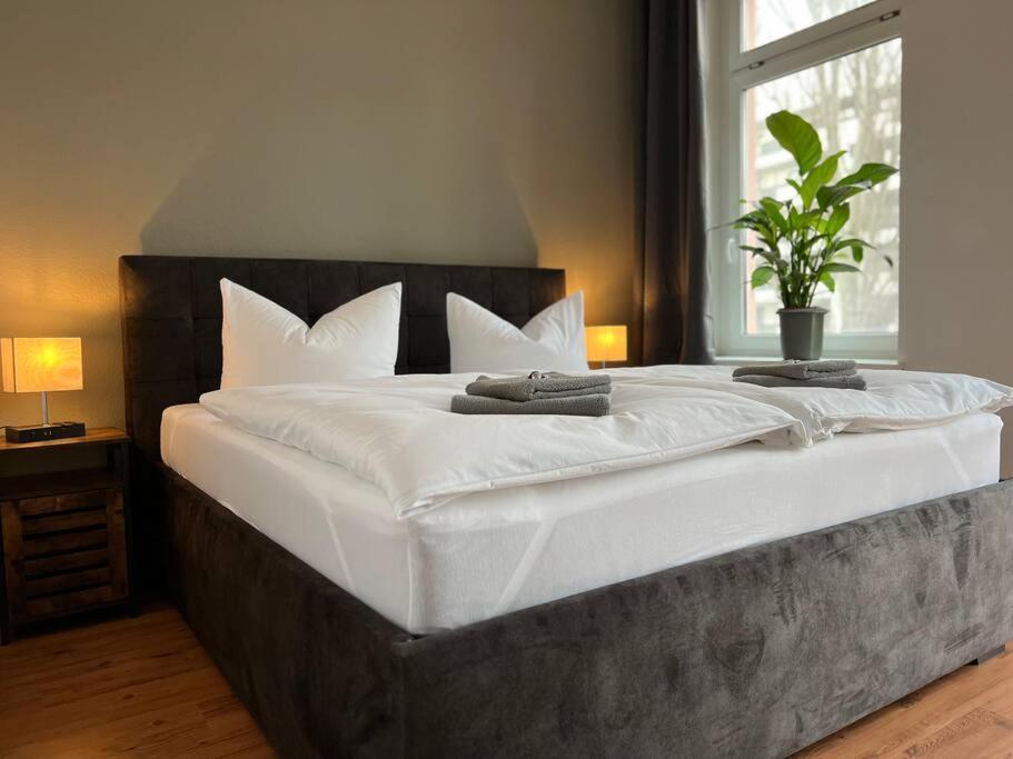 Akk6 Designpartment Naehe Hbf Uni Oper Apartment Magdeburg Ngoại thất bức ảnh